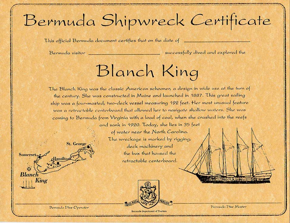 Blanche King