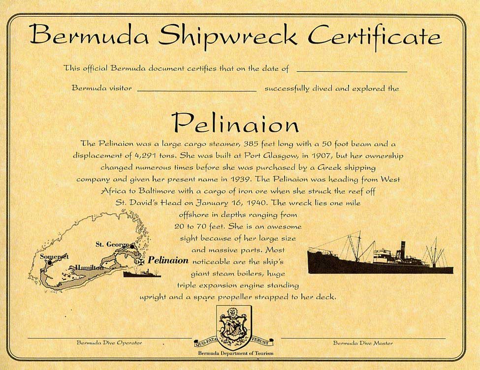Pelinaion